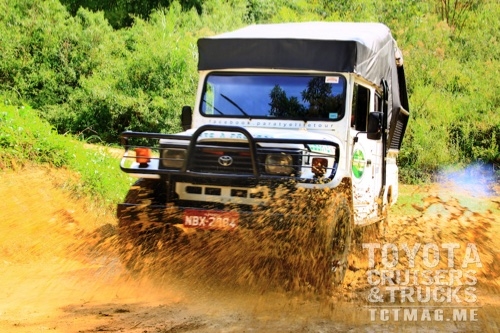 Brazil TLC: A Curiosity in Paradise