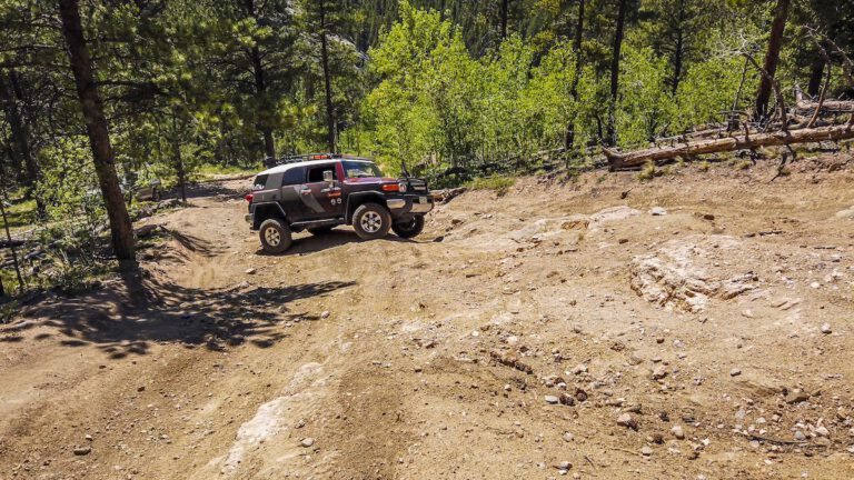 The Most Important Upgrade, with On Trail Training