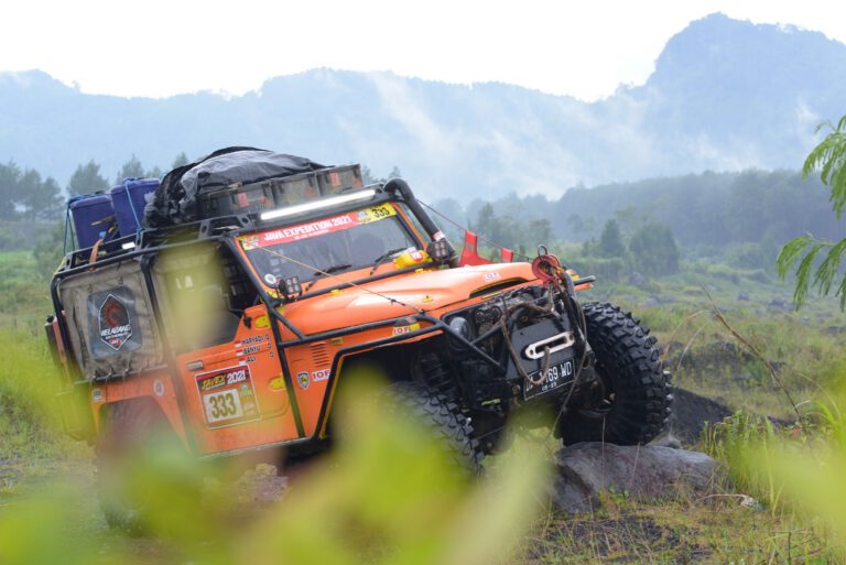 JAVEX 2021 Expedition